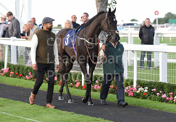 Gt_Yarm_Eastern_Fest_Ladies_day_2023-245