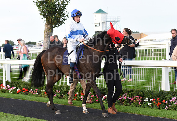 Gt_Yarm_Eastern_Fest_Ladies_day_2023-248