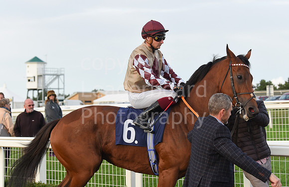 Gt_Yarm_Eastern_Fest_Ladies_day_2023-251