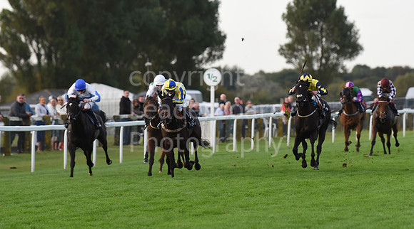 Gt_Yarm_Eastern_Fest_Ladies_day_2023-255