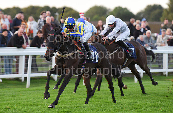 Gt_Yarm_Eastern_Fest_Ladies_day_2023-262