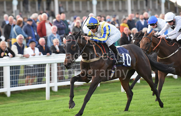 Gt_Yarm_Eastern_Fest_Ladies_day_2023-264
