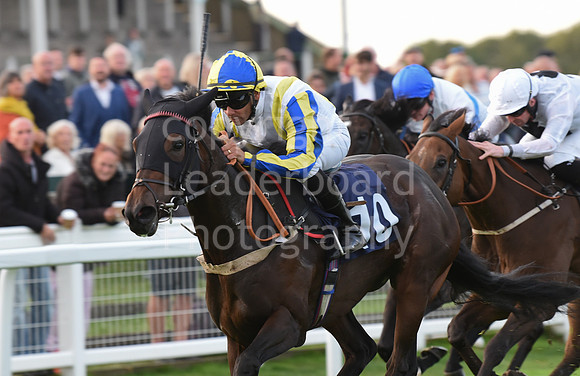 Gt_Yarm_Eastern_Fest_Ladies_day_2023-263