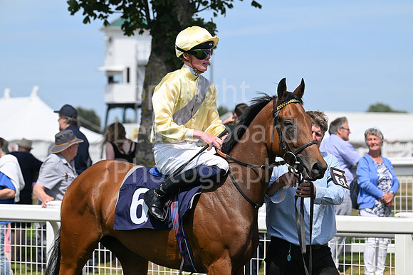 Gt_Yarm_Residents_Day_June_27-47