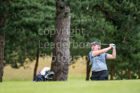 LBP_2954