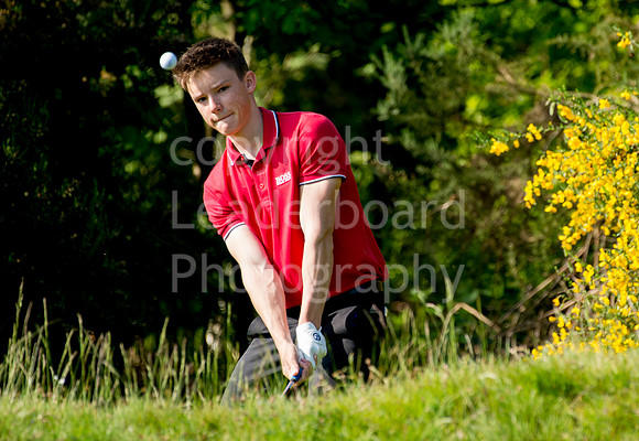 LB_Brabazon_2017_0806