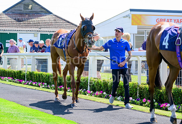 NZ9_0581