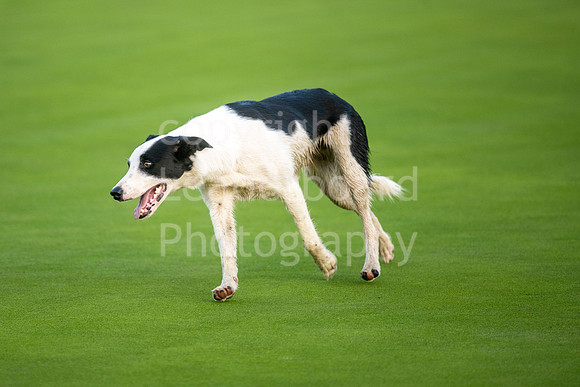 LBP_2023_English_Mens_Champion_Club-49