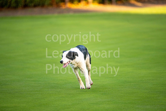 LBP_2023_English_Mens_Champion_Club-51