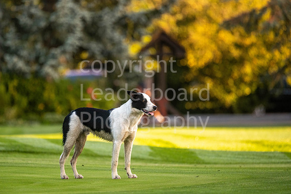LBP_2023_English_Mens_Champion_Club-53