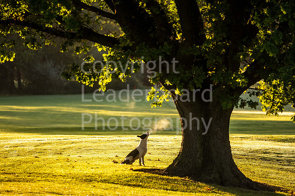 LBP_2023_English_Mens_Champion_Club-57