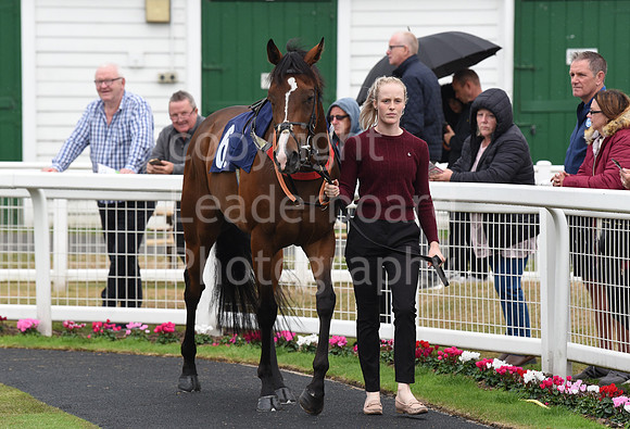 Gt_Yarm_Eastern_Fest_Day_1-78