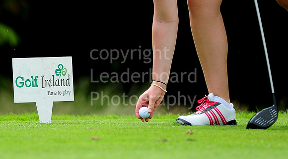 NB_06_Mid_Am_Collingtree_Park.jpg