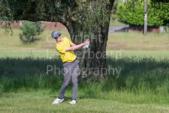 LBP_3264
