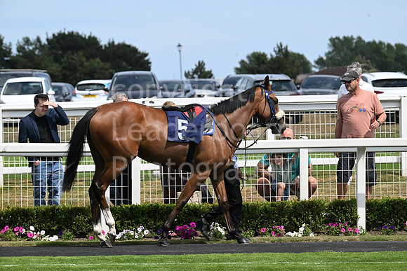 Gt_Yarm_Residents_Day_June_27-39