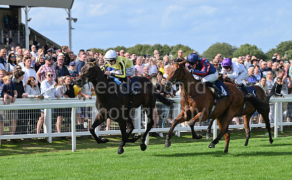 Gt_Yarm_25_Aug_Family_Raceday_2024-70