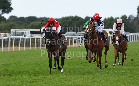 Gt_Yarm_4 Aug_2022-12