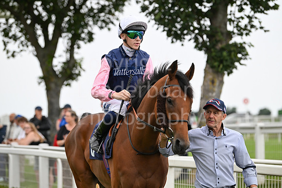 Gt_Yarm_3_Aug_2025-115