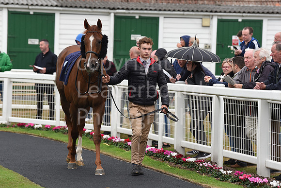 Gt_Yarm_Eastern_Fest_Day_1-5