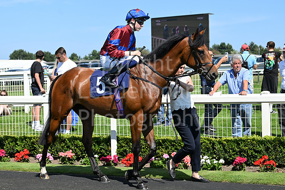 Gt_Yarm_July_30_2024-99