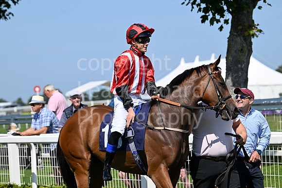 Gt_Yarm_July_30_2024-95