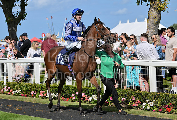 Gt_Yarm_25_Aug_Family_Raceday_2024-54