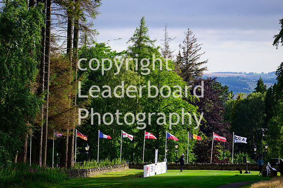 NZ9_6467