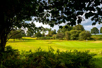 LBP_Champion_Club_Knole-9