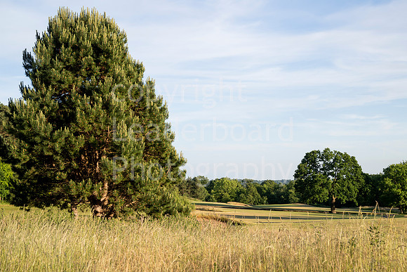 LBM_0325