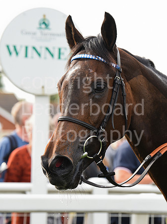 Gt_Yarm_Races_13_Sept8-202
