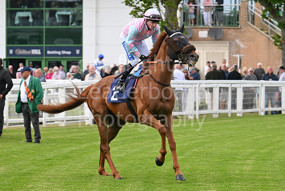 Gt_Yarm_May14_2025-155
