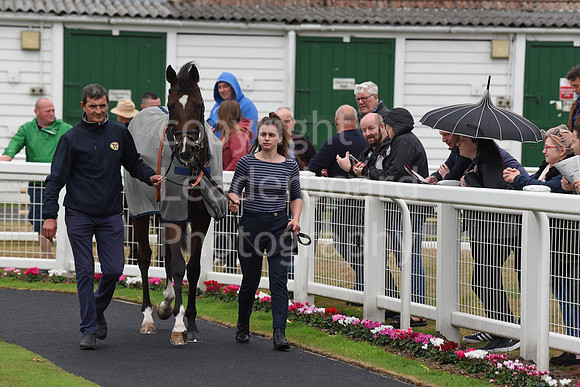 Gt_Yarm_Eastern_Fest_Day_1-3
