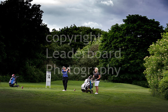 LB_Senior_womens_stroke_play_2016_2385