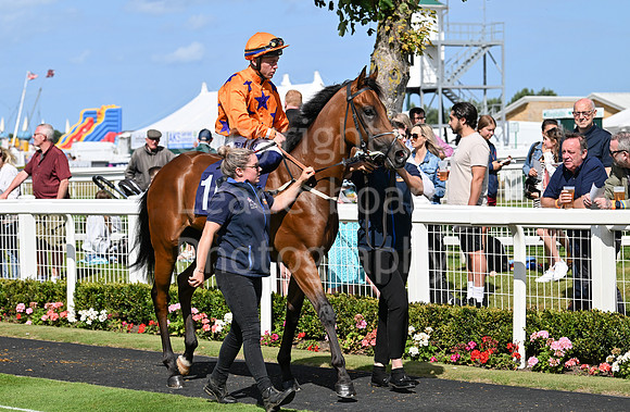 Gt_Yarm_25_Aug_Family_Raceday_2024-51