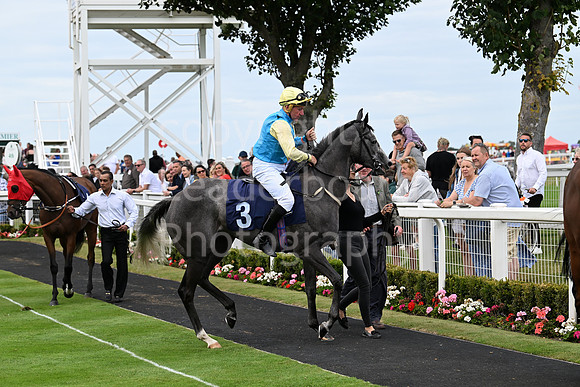 Gt_Yarm_25_Aug_Family_Raceday_2024-231