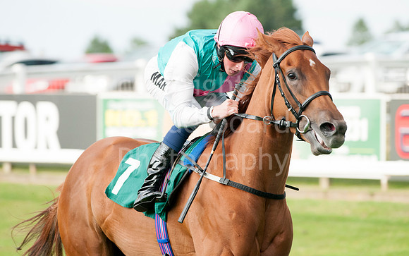 LB_JGYR_August_13_2014__166