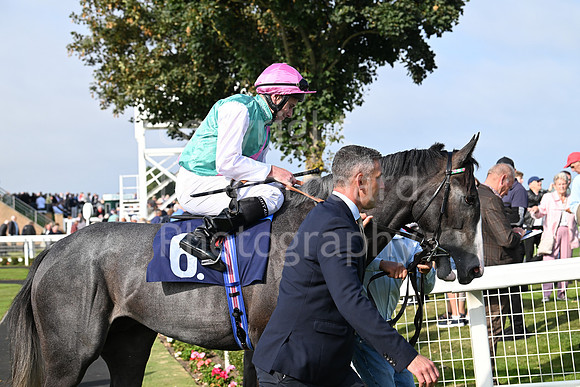Gt_Yarm_Eastern_Fest_18_Sept_2024-98