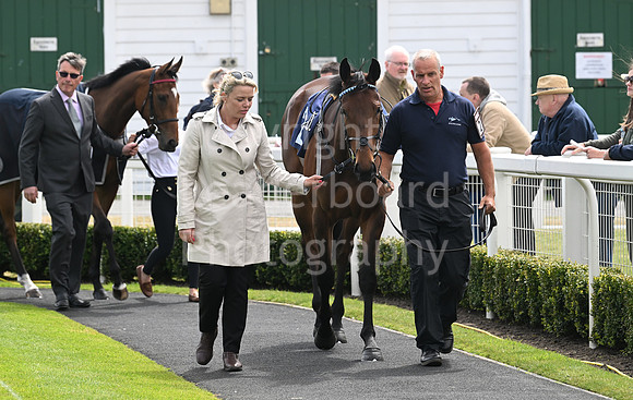 Gt_Yarm_May14_2025-1
