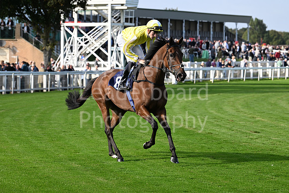 Gt_Yarm_Eastern_Fest_18_Sept_2024-134