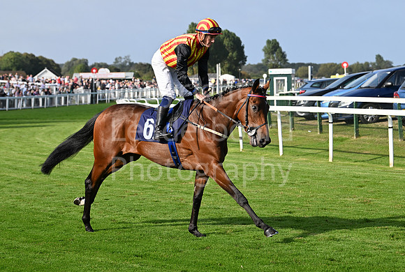 Gt_Yarm_Eastern_Fest_18_Sept_2024-150