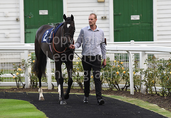 98_GY_Races_20Aug