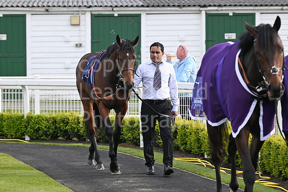 Gt_Yarm_May_4th_2024-46