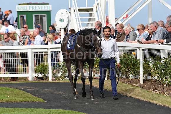 Gt_Yarm_Eastern_Fest_Day_3-27
