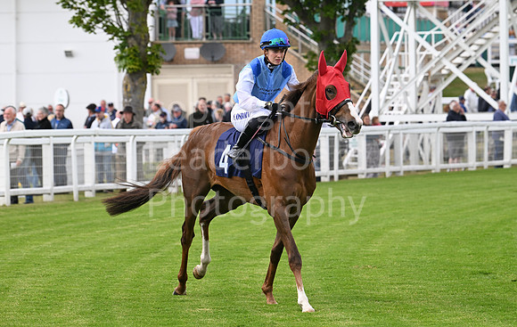 Gt_Yarm_May14_2025-149