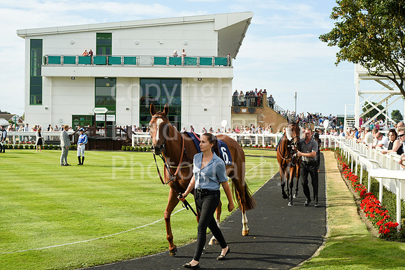 Gt_Yarm_21_Aug_2022-199