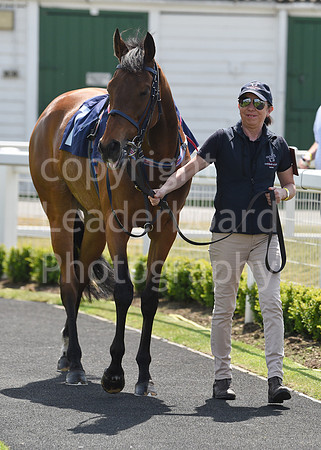 Gt_Yarm_18_May_2022-2