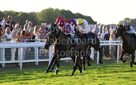 Gt_Yarm_Ladies Night_2025-139