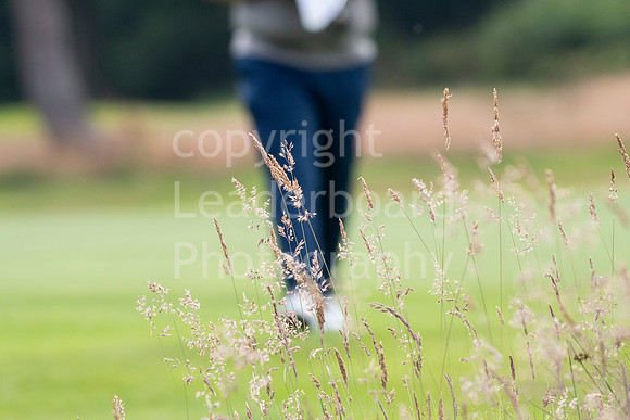 LBP_4366