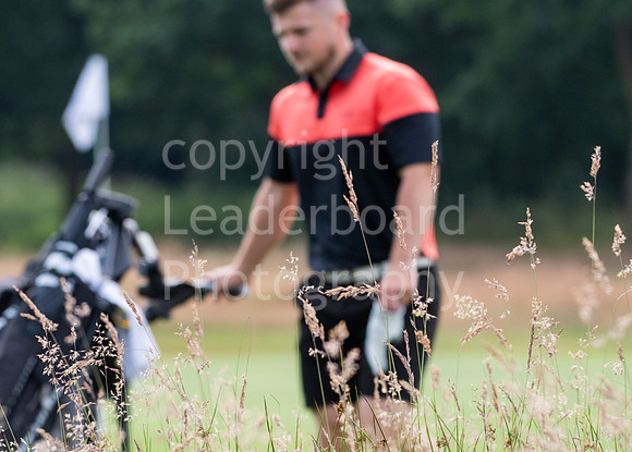 LBP_4375