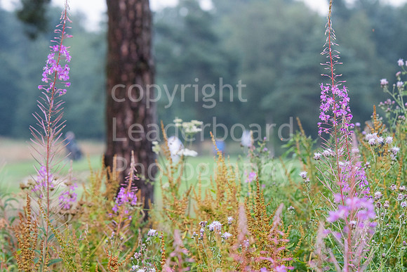 LBP_5154